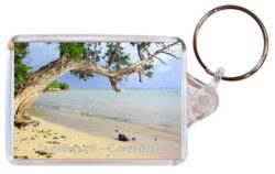 Guadeloupe - Caribbean - Double Sided Large Keyring Key Fob Chain Ring Gift Present Souvenir A1