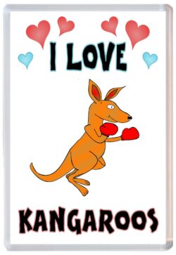 I Love Kangaroos - Jumbo Fridge Magnet Souvenir Gift Present