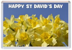 Happy St David's Day - Jumbo Fridge Magnet Souvenir Gift Present 1st March (2a)
