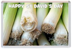 Happy St David's Day - Jumbo Fridge Magnet Souvenir Gift Present 1st March (Leeks)