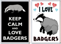 Keep Calm & I Love Badgers (2 PACK) - Jumbo Fridge Magnet Souvenir Gift Present