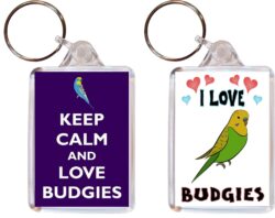 Keep Calm & I Love Budgies - (TWO PACK) Double Sided Large Keyring Key Fob Chain Ring Name Tag Gift Present Souvenir