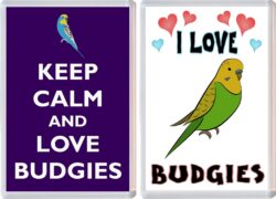 Keep Calm & I Love Budgies (2 PACK) - Jumbo Fridge Magnet Souvenir Gift Present