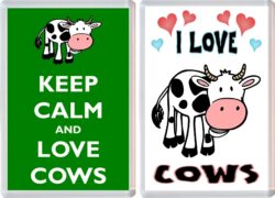 Keep Calm & I Love Budgies (2 PACK) - Jumbo Fridge Magnet Souvenir Gift Present