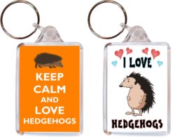 Keep Calm & I Love Hedgehogs - (TWO PACK) Double Sided Large Keyring Key Fob Chain Ring Name Tag Gift Present Souvenir
