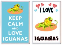 Keep Calm & I Love Iguanas (2 PACK) - Jumbo Fridge Magnet Souvenir Gift Present