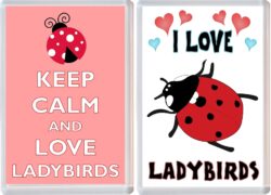 Keep Calm & I Love Ladybirds (2 PACK) - Jumbo Fridge Magnet Souvenir Gift Present