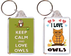 Keep Calm & I Love Owls - (TWO PACK) Double Sided Large Keyring Key Fob Chain Ring Name Tag Gift Present Souvenir