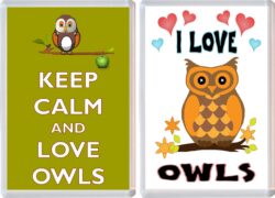 Keep Calm & I Love Owls (2 PACK) - Jumbo Fridge Magnet Souvenir Gift Present