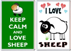 Keep Calm & I Love Sheep (2 PACK) - Jumbo Fridge Magnet Souvenir Gift Present