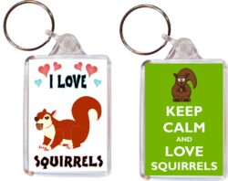 Keep Calm & I Love Squirrels - (TWO PACK) Double Sided Large Keyring Key Fob Chain Ring Name Tag Gift Present Souvenir