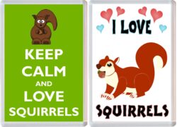 Keep Calm & I Love Squirrels (2 PACK) - Jumbo Fridge Magnet Souvenir Gift Present