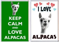 Keep Calm & I Love Alpacas (2 PACK) - Jumbo Fridge Magnet Souvenir Gift Present