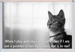 Cute Cat Quote - Jumbo Fridge Magnet Souvenir Gift Present AS1