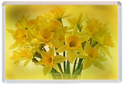 Daffodils - Jumbo Fridge Magnet Souvenir Gift Present FU2
