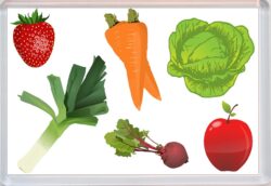 Fruit & Veg - Jumbo Fridge Magnet Souvenir Gift Present