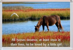 Cute Horse Quote - Jumbo Fridge Magnet Souvenir Gift Present AS1