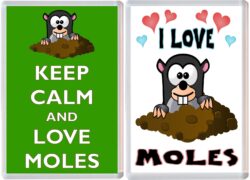 Keep Calm & I Love Moles (2 PACK) - Jumbo Fridge Magnet Souvenir Gift Present