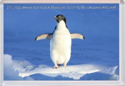 Cute Penguin Quote - Jumbo Fridge Magnet Souvenir Gift Present AS2
