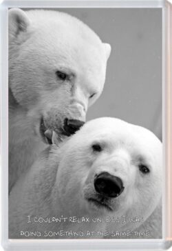 Cute Polar Bear Quote - Jumbo Fridge Magnet Souvenir Gift Present AS2