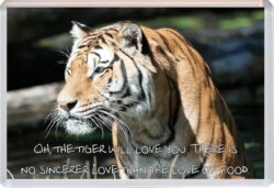 Cute Tiger Quote - Jumbo Fridge Magnet Souvenir Gift Present AS2