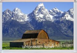 Wyoming - USA - Jumbo Fridge Magnet Souvenir Gift Present OE1