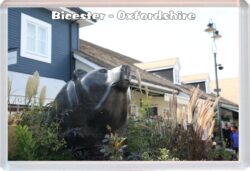 Bicester Village - Oxfordshire - Jumbo Fridge Magnet Souvenir Gift Present HH3
