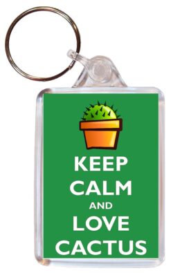 Keep Calm and Cactus – Double Sided Large Keyring Key Fob Chain Ring Gift Present