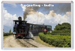 Darjeeling - India - Jumbo Fridge Magnet Souvenir Gift Present 19I1