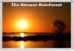 The Amazon Rainforest - Brazil - Jumbo Fridge Magnet Souvenir Gift Present 19K1