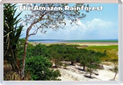 The Amazon Rainforest - Brazil - Jumbo Fridge Magnet Souvenir Gift Present 19K3