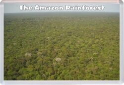 The Amazon Rainforest - Brazil - Jumbo Fridge Magnet Souvenir Gift Present 19K4
