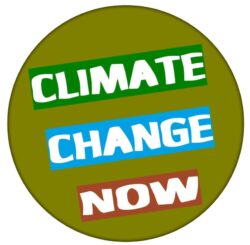 Campaign Against Climate Change - 59mm Badge/Badges C3