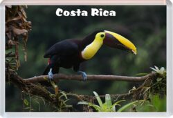 Costa Rica - Jumbo Fridge Magnet Souvenir Gift Present 19K2