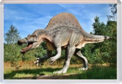 Dinosaur/Dinosaurs - Jumbo Fridge Magnet Souvenir Gift Present 19M3