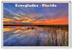 Everglades - Florida - USA - Jumbo Fridge Magnet Souvenir Gift Present 19U1
