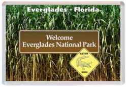 Everglades - Florida - USA - Jumbo Fridge Magnet Souvenir Gift Present 19U3