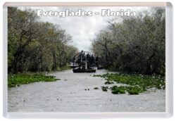 Everglades - Florida - USA - Jumbo Fridge Magnet Souvenir Gift Present 19U4