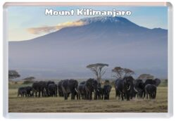 Mount Kilimanjaro - Tanzania - Africa - Jumbo Fridge Magnet Souvenir Gift Present 19T2