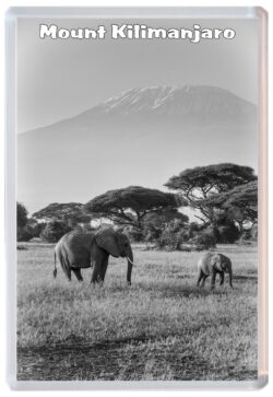 Mount Kilimanjaro - Tanzania - Africa - Jumbo Fridge Magnet Souvenir Gift Present 19T4