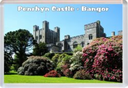 Penrhyn Castle - Bangor - Wales - Jumbo Fridge Magnet Souvenir Gift Present 19W1
