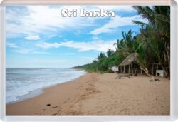 Sri Lanka - Jumbo Fridge Magnet Souvenir Gift Present 19S1