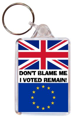 Don't Blame Me I Voted Remain - Double Sided Large Keyring Key Fob Chain Ring Gift Present Brexit EU Referendum 2016 Souvenir
