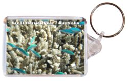 Great Barrier Reef - Australia - Double Sided Large Keyring Key Fob Chain Ring Gift Present Souvenir A2