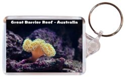 Great Barrier Reef - Australia - Double Sided Large Keyring Key Fob Chain Ring Gift Present Souvenir A3