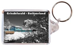 Grindelwald - Switzerland - Double Sided Large Keyring Key Fob Chain Ring Gift Present Souvenir S3