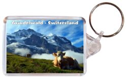 Grindelwald - Switzerland - Double Sided Large Keyring Key Fob Chain Ring Gift Present Souvenir S4