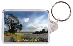 Luton - Bedfordshire - Double Sided Large Keyring Key Fob Chain Ring Gift Present Souvenir E1
