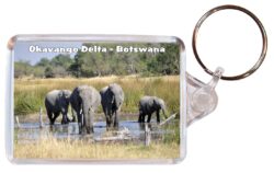 Okavango Delta - Botswana - Africa - Double Sided Large Keyring Key Fob Chain Ring Gift Present Souvenir T3