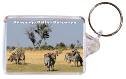 Okavango Delta - Botswana - Africa - Double Sided Large Keyring Key Fob Chain Ring Gift Present Souvenir T4